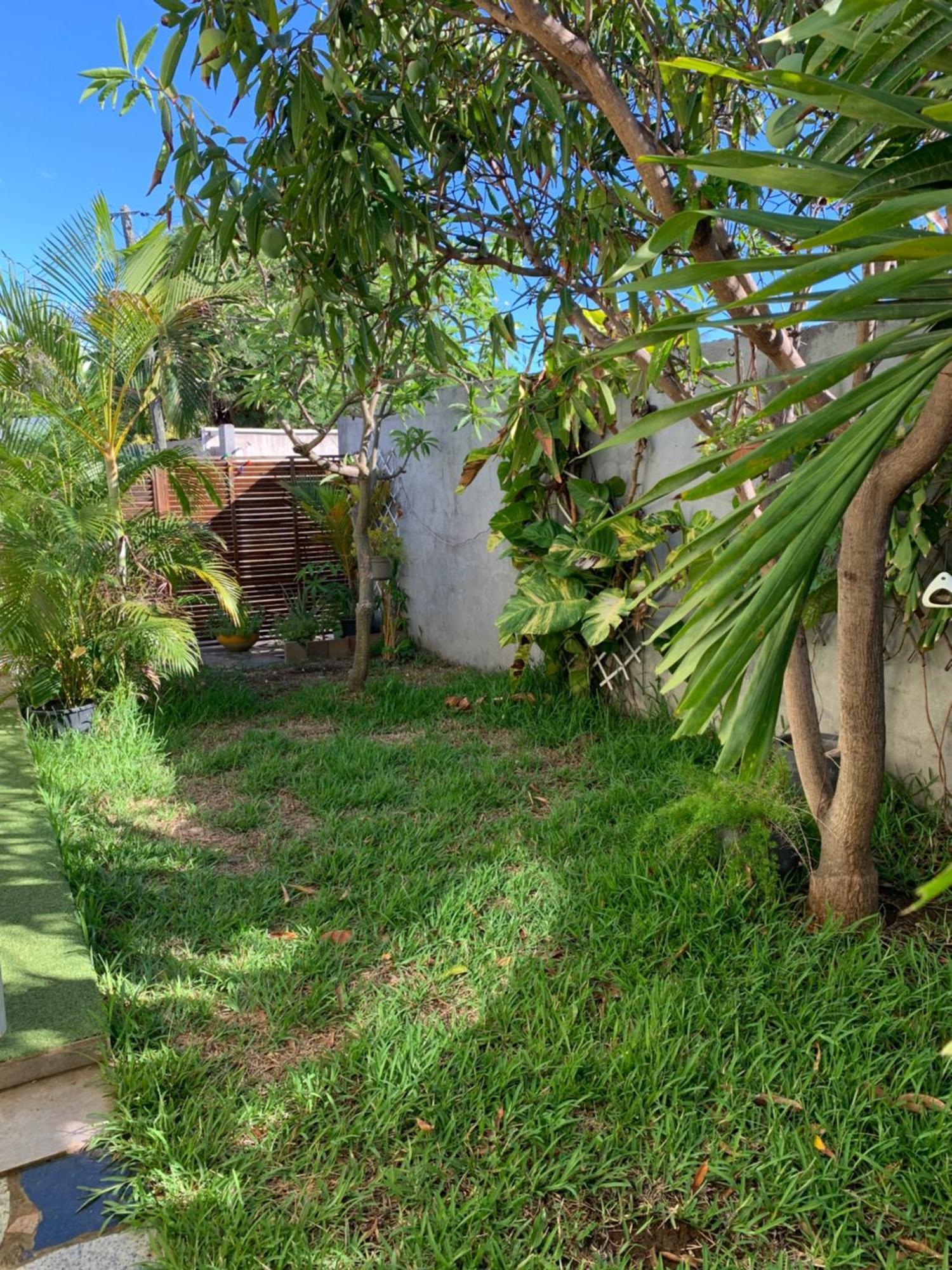 Bungalow Les Coraux La Saline Le Bains Buitenkant foto